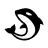 Orca